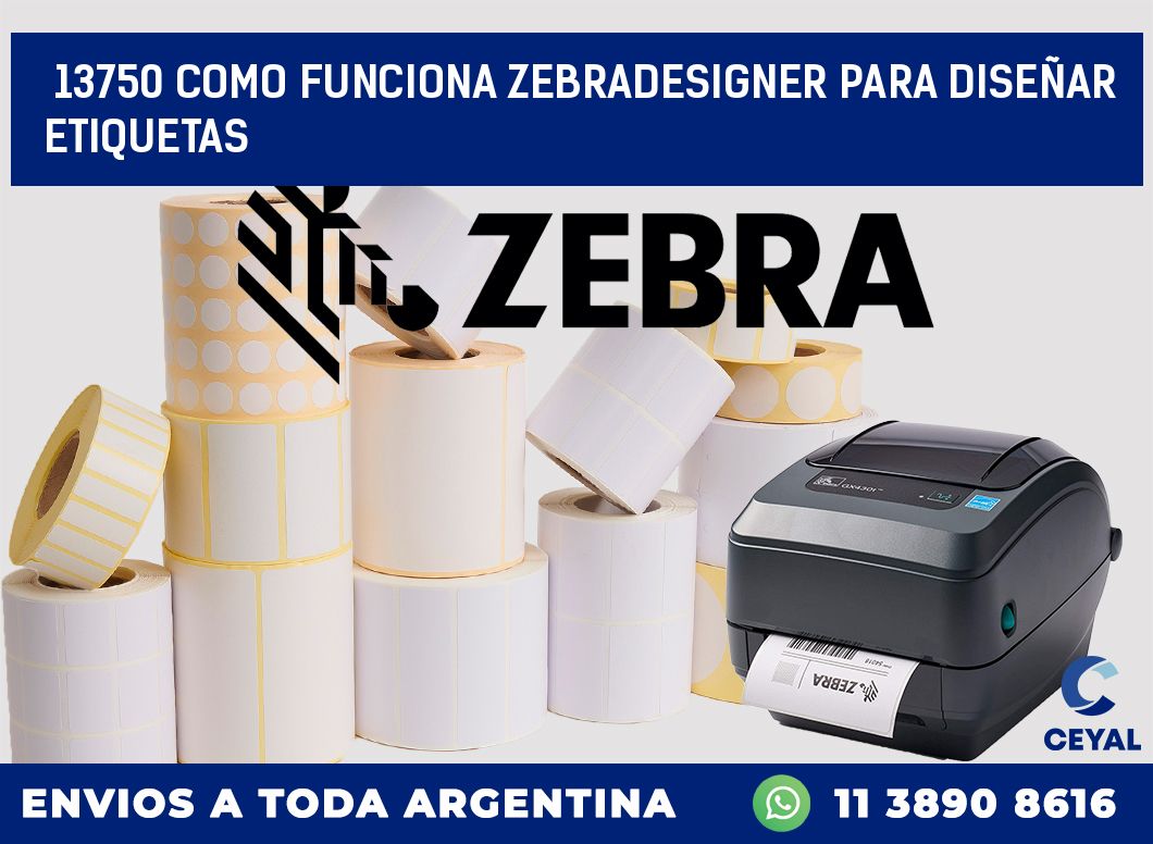 13750 COMO FUNCIONA ZEBRADESIGNER PARA DISEÑAR ETIQUETAS