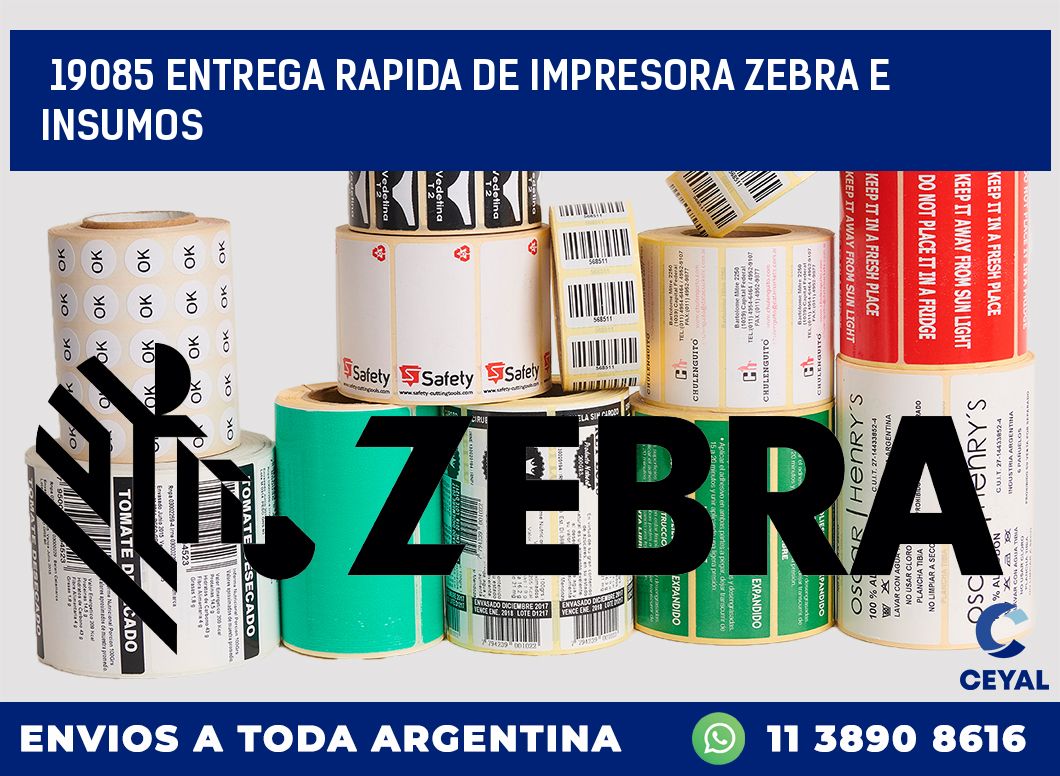 19085 ENTREGA RAPIDA DE IMPRESORA ZEBRA E INSUMOS