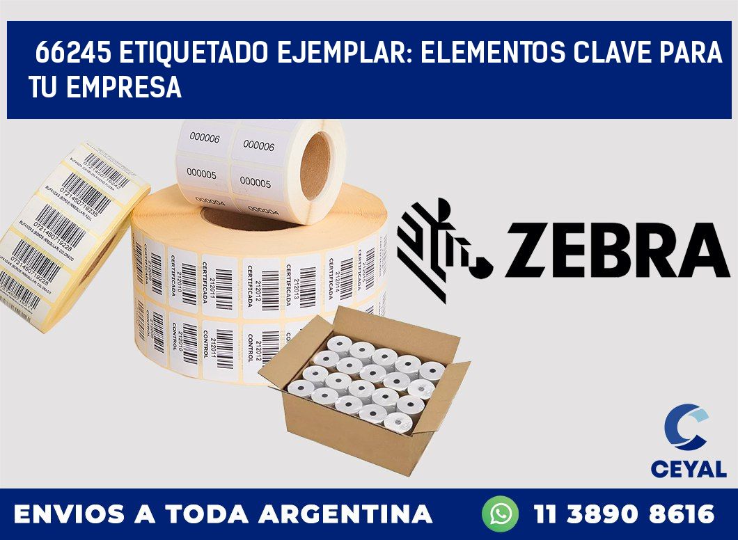 66245 ETIQUETADO EJEMPLAR: ELEMENTOS CLAVE PARA TU EMPRESA