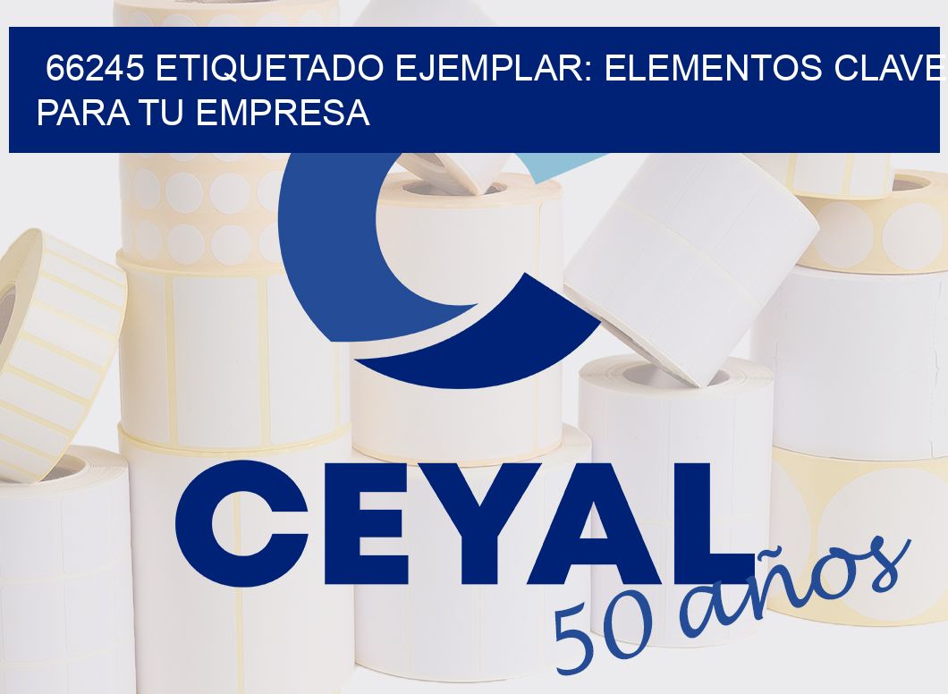 66245 ETIQUETADO EJEMPLAR: ELEMENTOS CLAVE PARA TU EMPRESA
