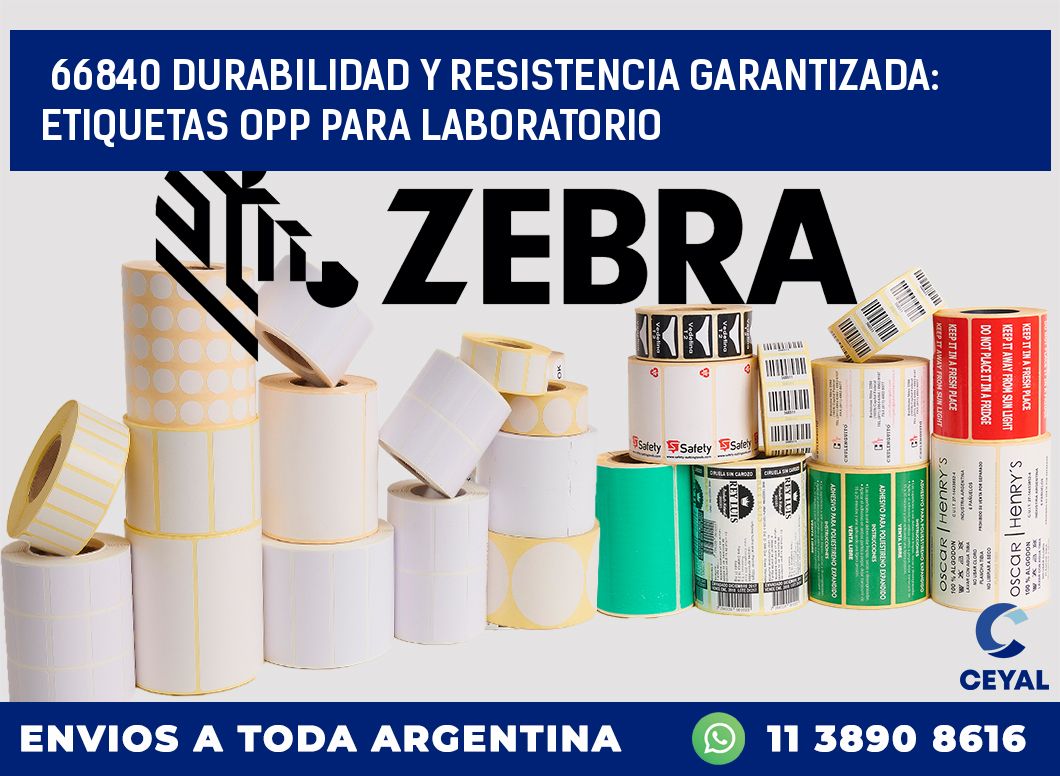 66840 DURABILIDAD Y RESISTENCIA GARANTIZADA: ETIQUETAS OPP PARA LABORATORIO