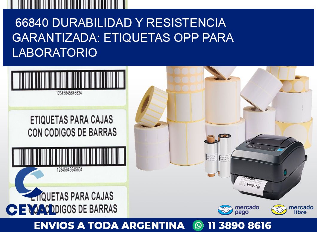 66840 DURABILIDAD Y RESISTENCIA GARANTIZADA: ETIQUETAS OPP PARA LABORATORIO