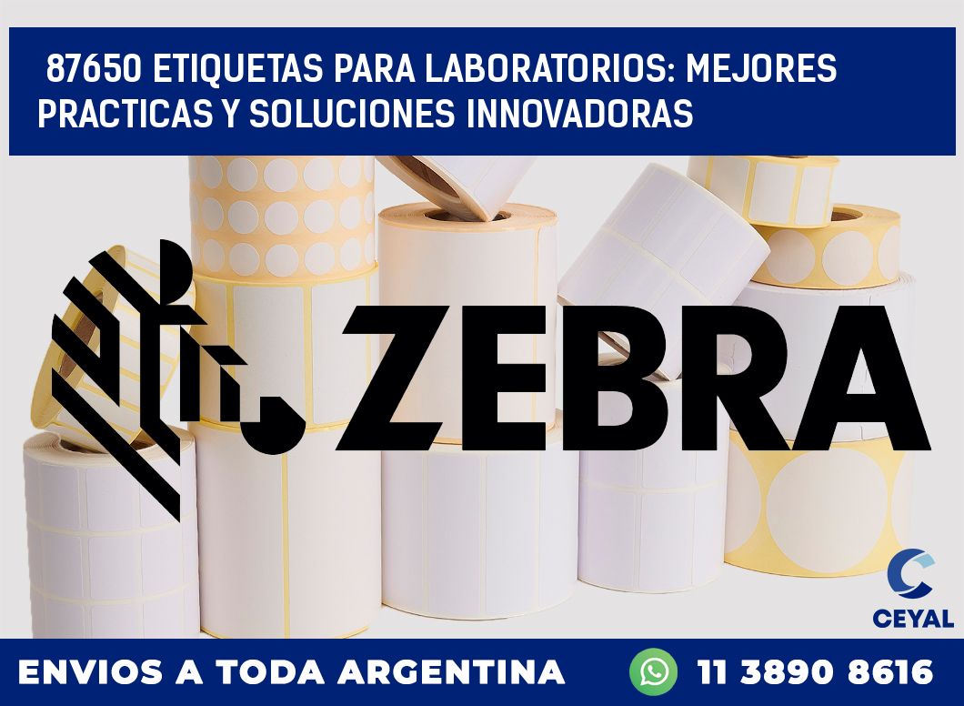 87650 ETIQUETAS PARA LABORATORIOS: MEJORES PRACTICAS Y SOLUCIONES INNOVADORAS