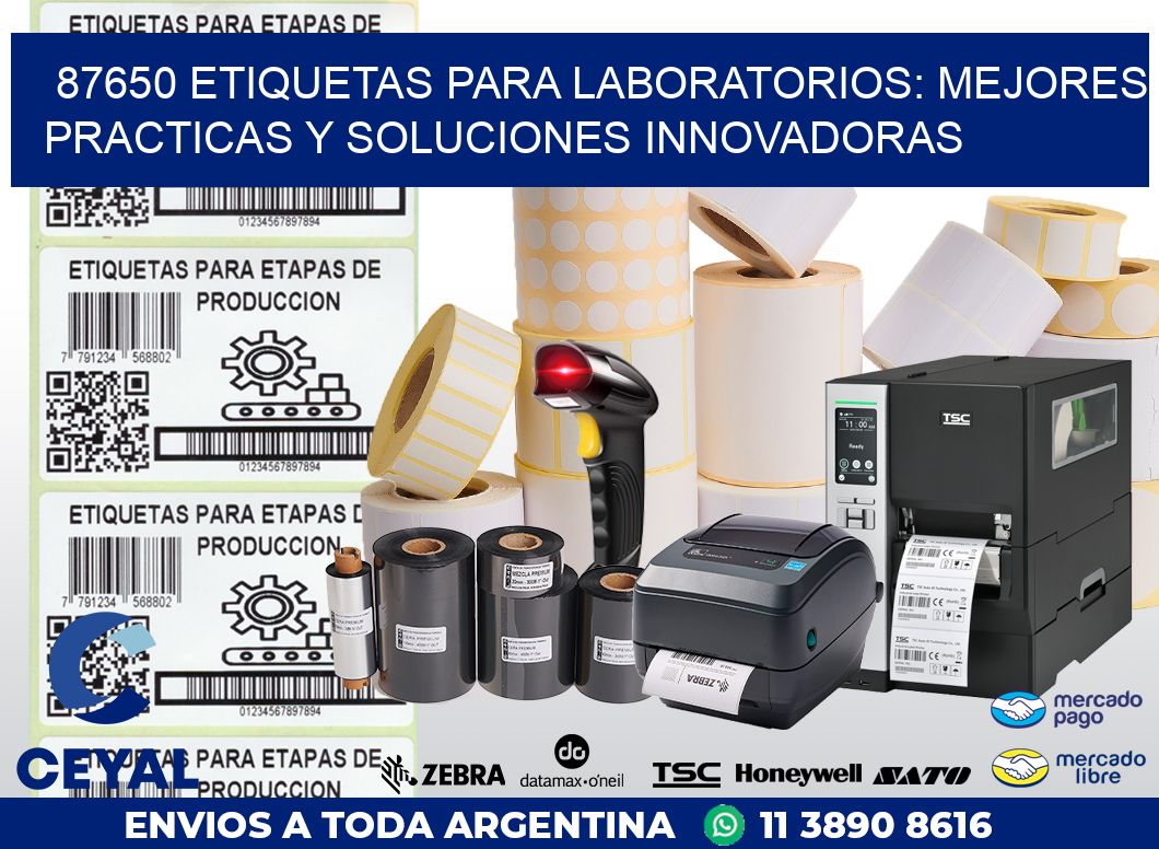 87650 ETIQUETAS PARA LABORATORIOS: MEJORES PRACTICAS Y SOLUCIONES INNOVADORAS