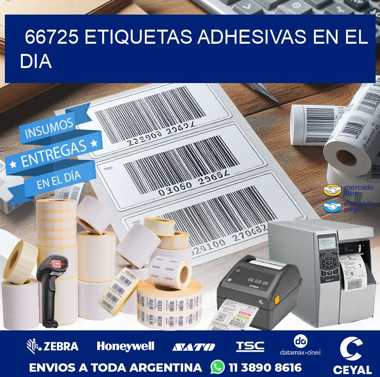 66725 ETIQUETAS ADHESIVAS EN EL DIA