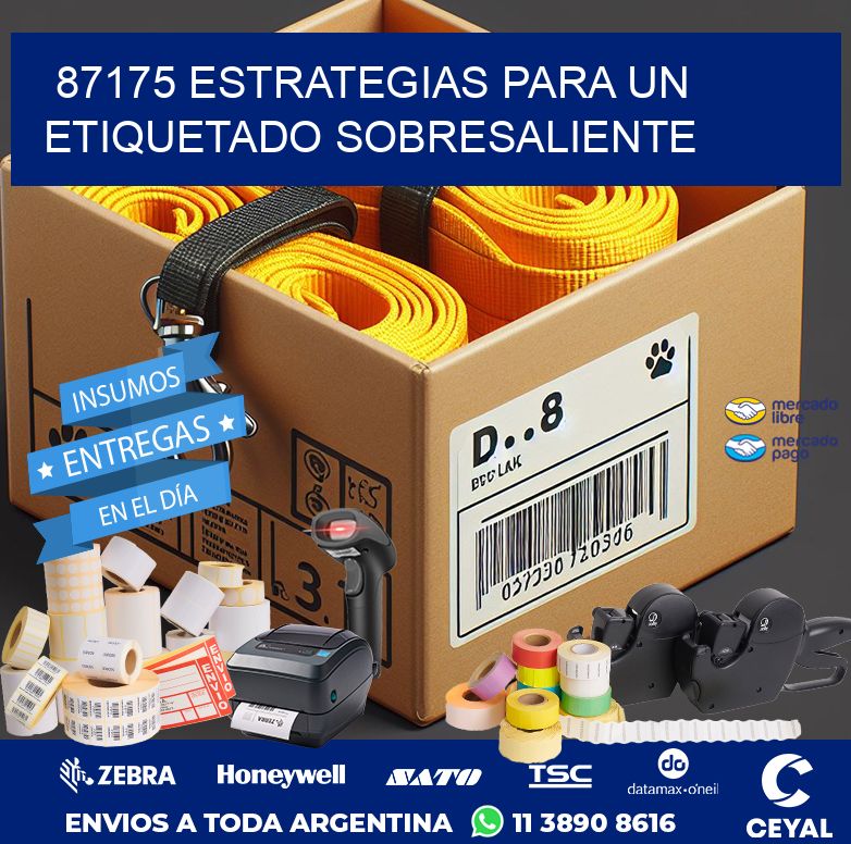 87175 ESTRATEGIAS PARA UN ETIQUETADO SOBRESALIENTE