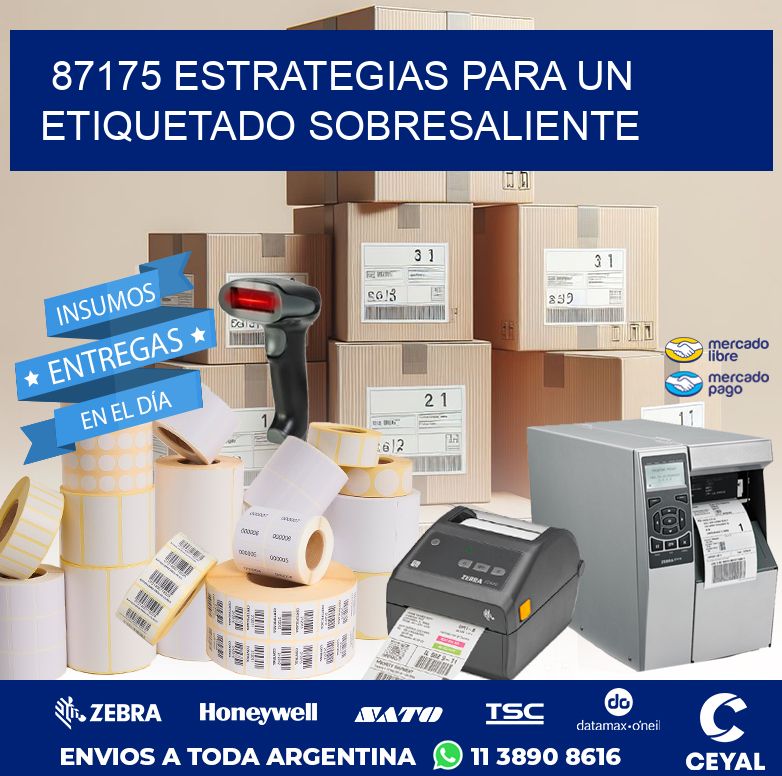 87175 ESTRATEGIAS PARA UN ETIQUETADO SOBRESALIENTE