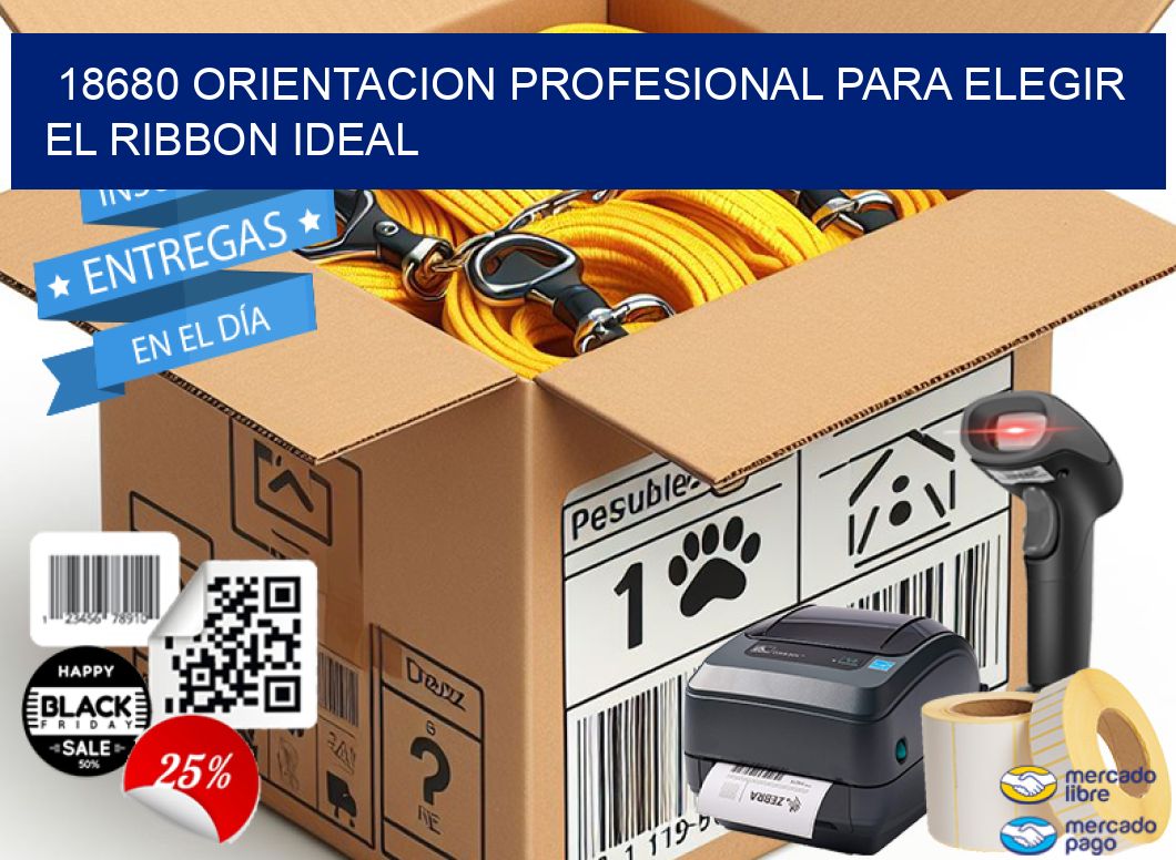 18680 ORIENTACION PROFESIONAL PARA ELEGIR EL RIBBON IDEAL