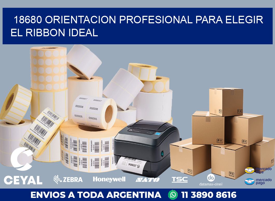 18680 ORIENTACION PROFESIONAL PARA ELEGIR EL RIBBON IDEAL