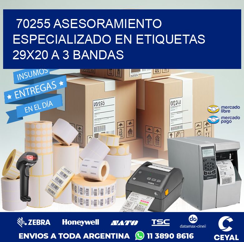 70255 ASESORAMIENTO ESPECIALIZADO EN ETIQUETAS 29X20 A 3 BANDAS