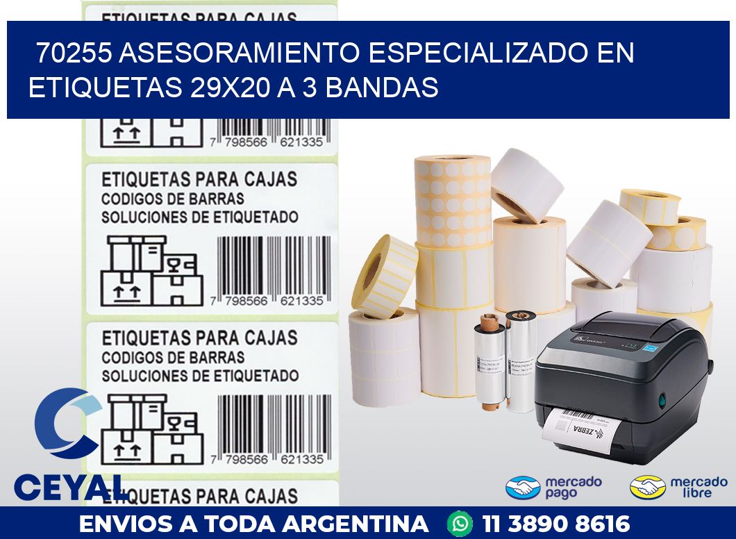 70255 ASESORAMIENTO ESPECIALIZADO EN ETIQUETAS 29X20 A 3 BANDAS