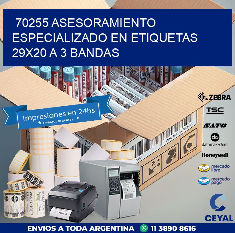 70255 ASESORAMIENTO ESPECIALIZADO EN ETIQUETAS 29X20 A 3 BANDAS