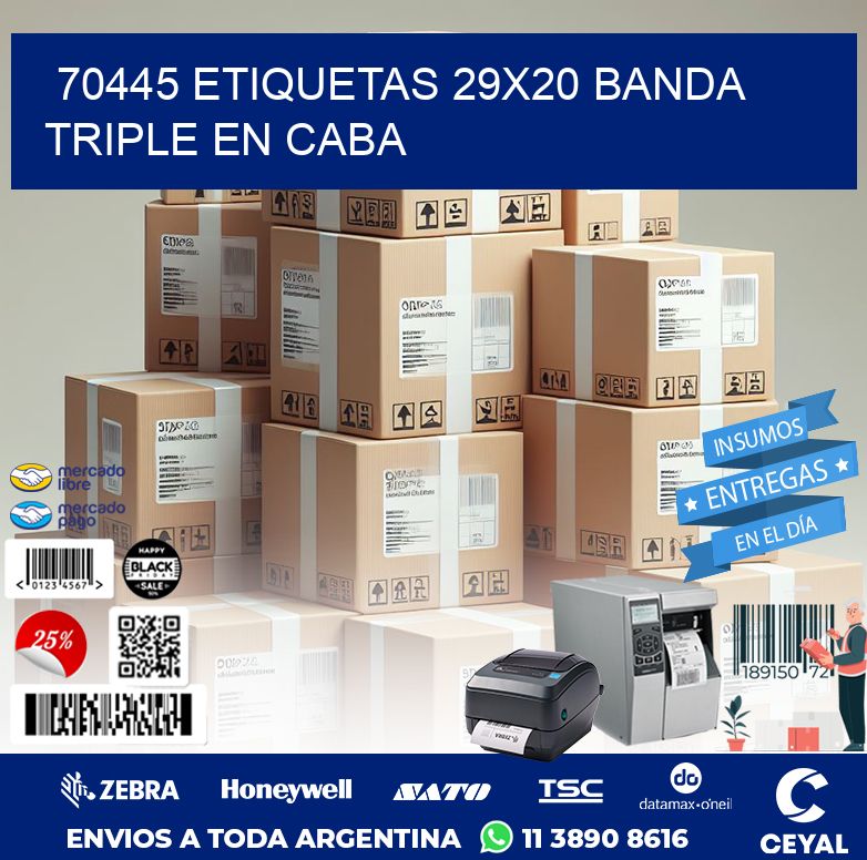 70445 ETIQUETAS 29X20 BANDA TRIPLE EN CABA