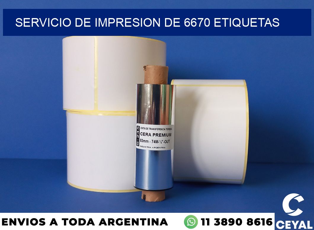SERVICIO DE IMPRESION DE 6670 ETIQUETAS