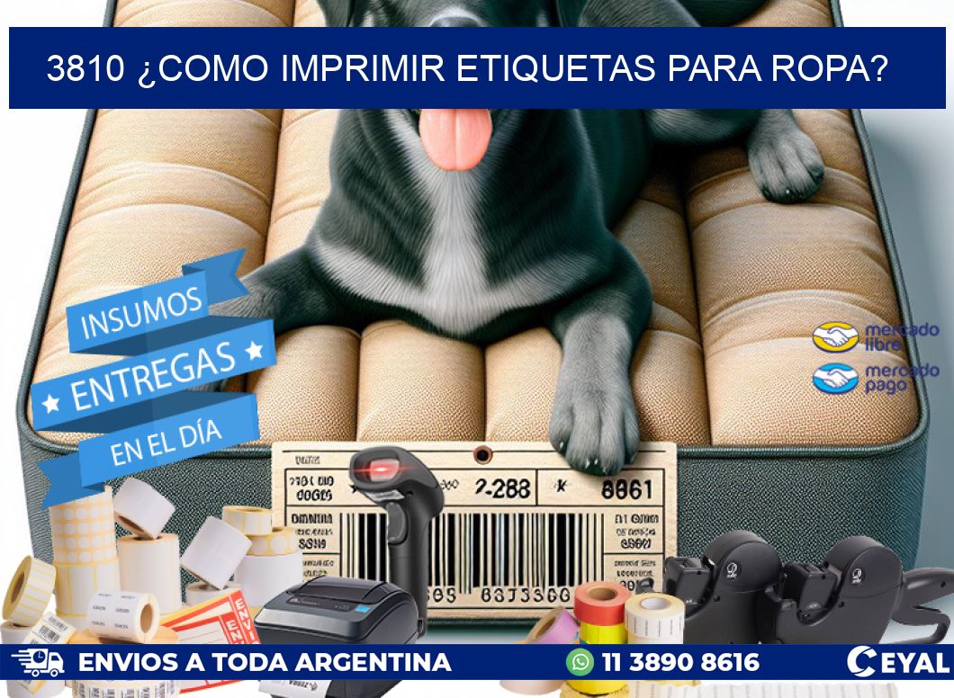 3810 ¿COMO IMPRIMIR ETIQUETAS PARA ROPA?