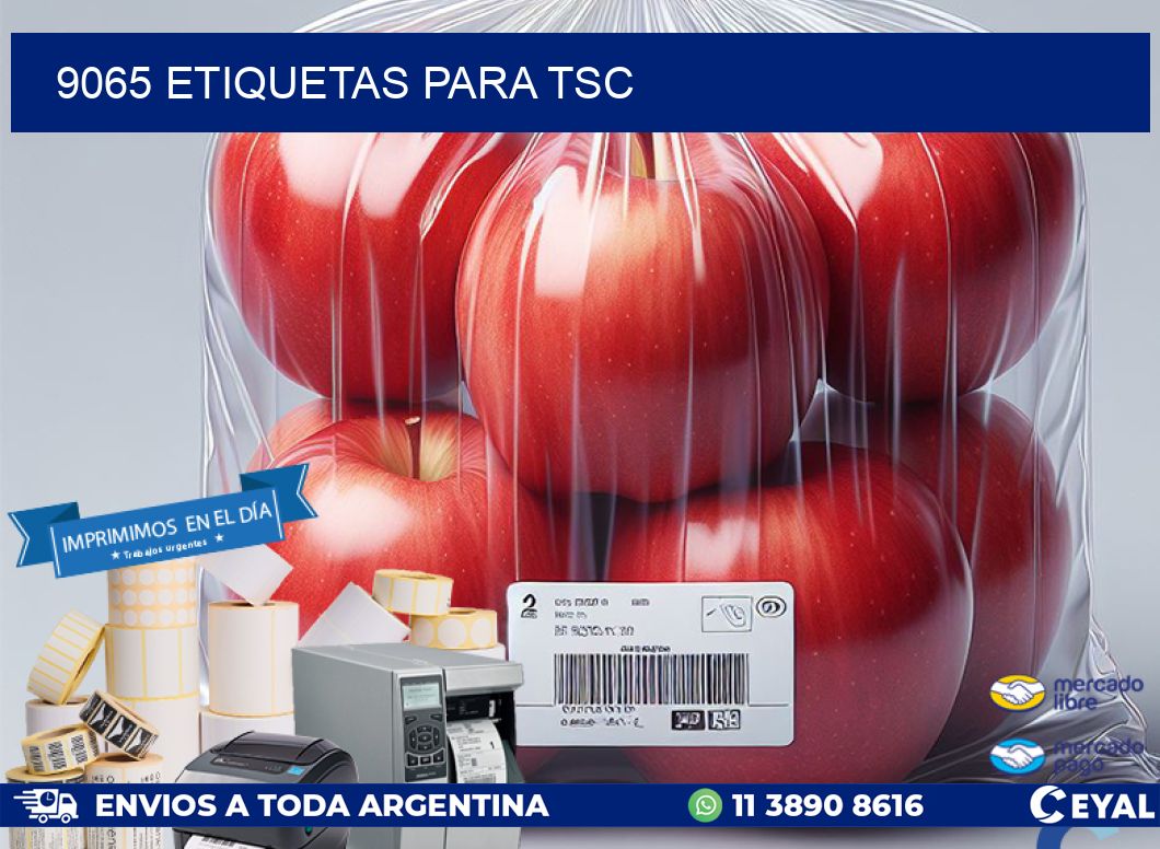 9065 ETIQUETAS PARA TSC