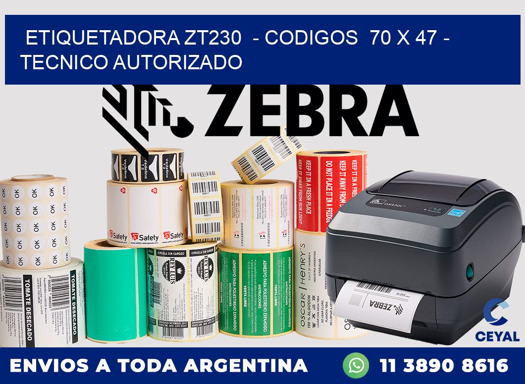 ETIQUETADORA ZT230  - CODIGOS  70 x 47 - TECNICO AUTORIZADO