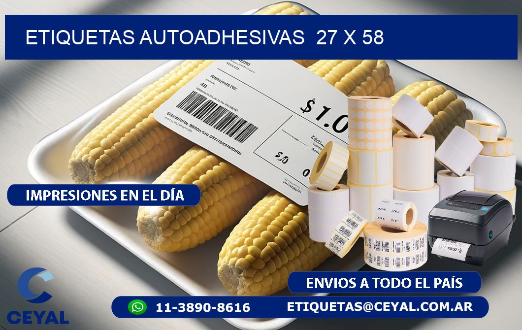 ETIQUETAS AUTOADHESIVAS  27 x 58