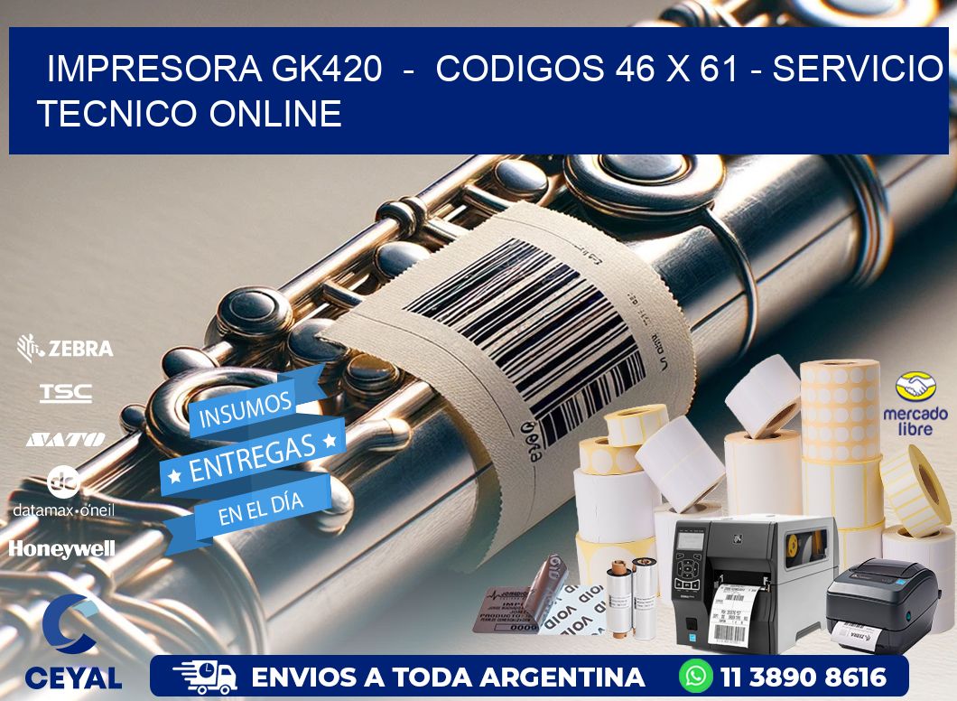 IMPRESORA GK420  -  CODIGOS 46 x 61 - SERVICIO TECNICO ONLINE
