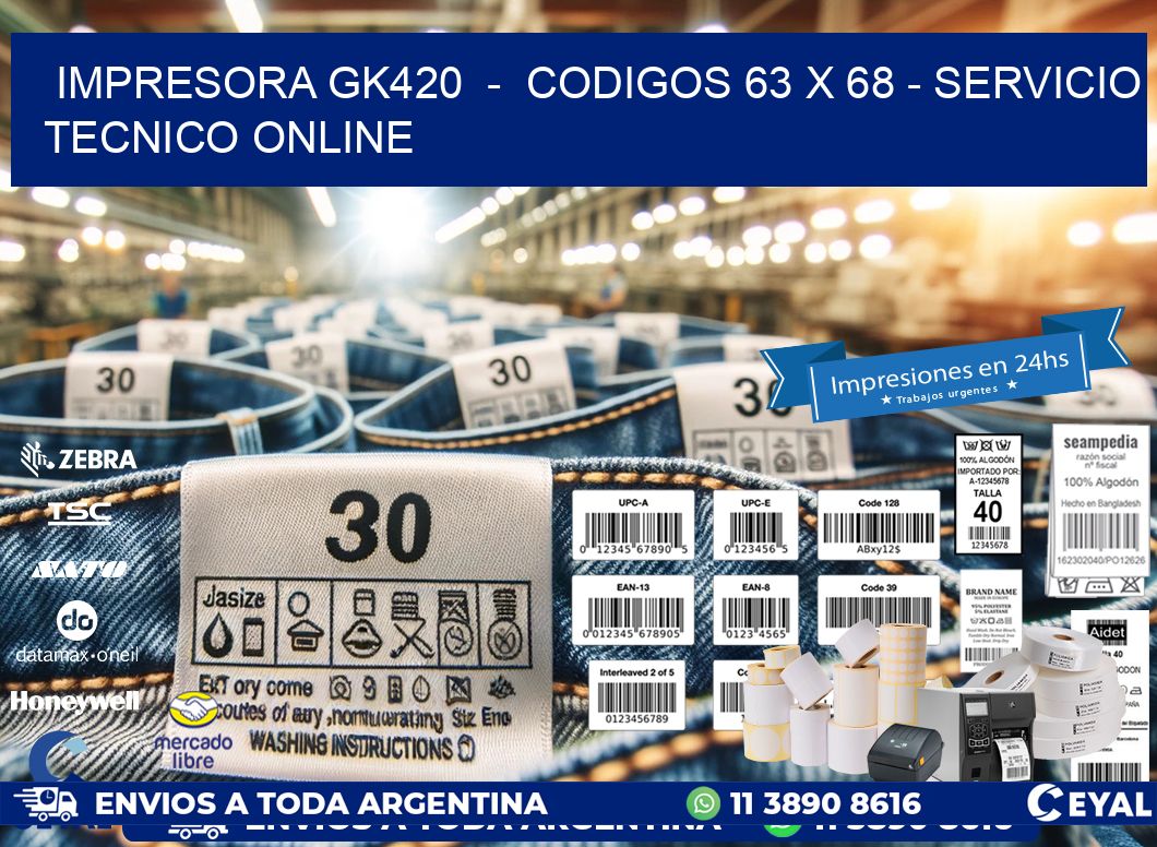 IMPRESORA GK420  -  CODIGOS 63 x 68 - SERVICIO TECNICO ONLINE