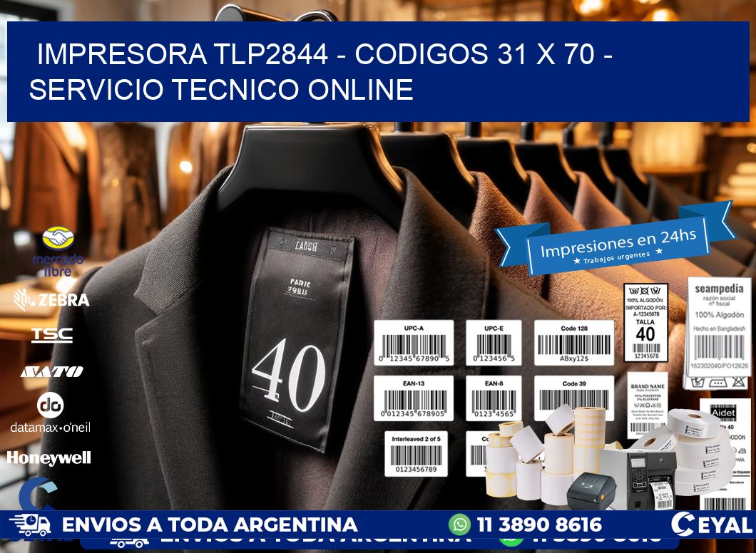 IMPRESORA TLP2844 - CODIGOS 31 x 70 - SERVICIO TECNICO ONLINE