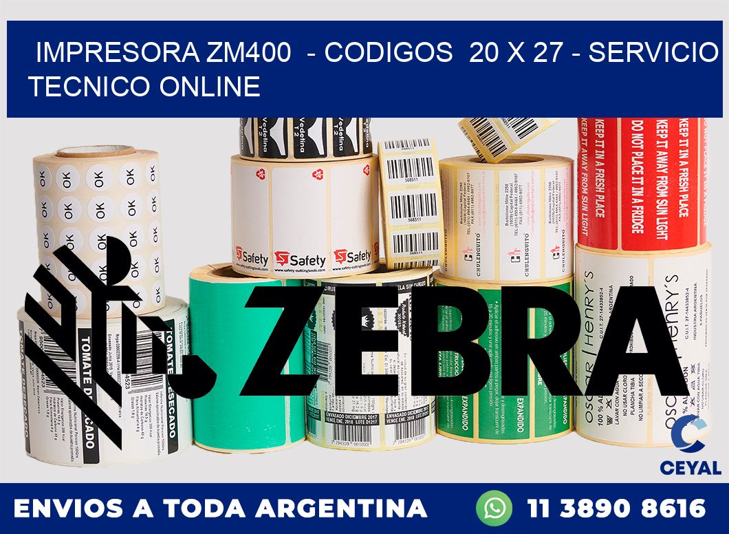 IMPRESORA ZM400  - CODIGOS  20 x 27 - SERVICIO TECNICO ONLINE