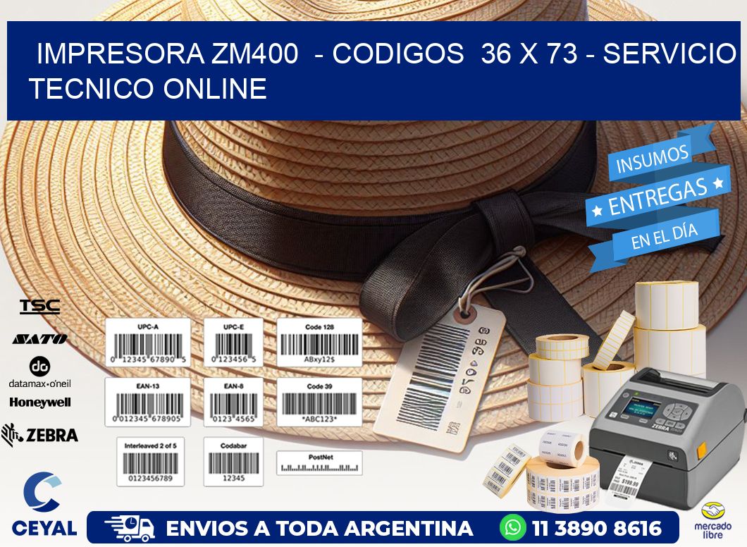 IMPRESORA ZM400  - CODIGOS  36 x 73 - SERVICIO TECNICO ONLINE