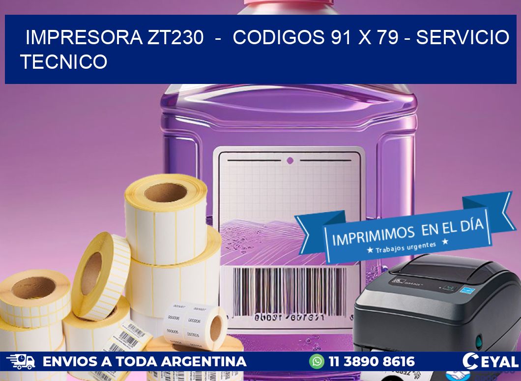 IMPRESORA ZT230  -  CODIGOS 91 x 79 - SERVICIO TECNICO