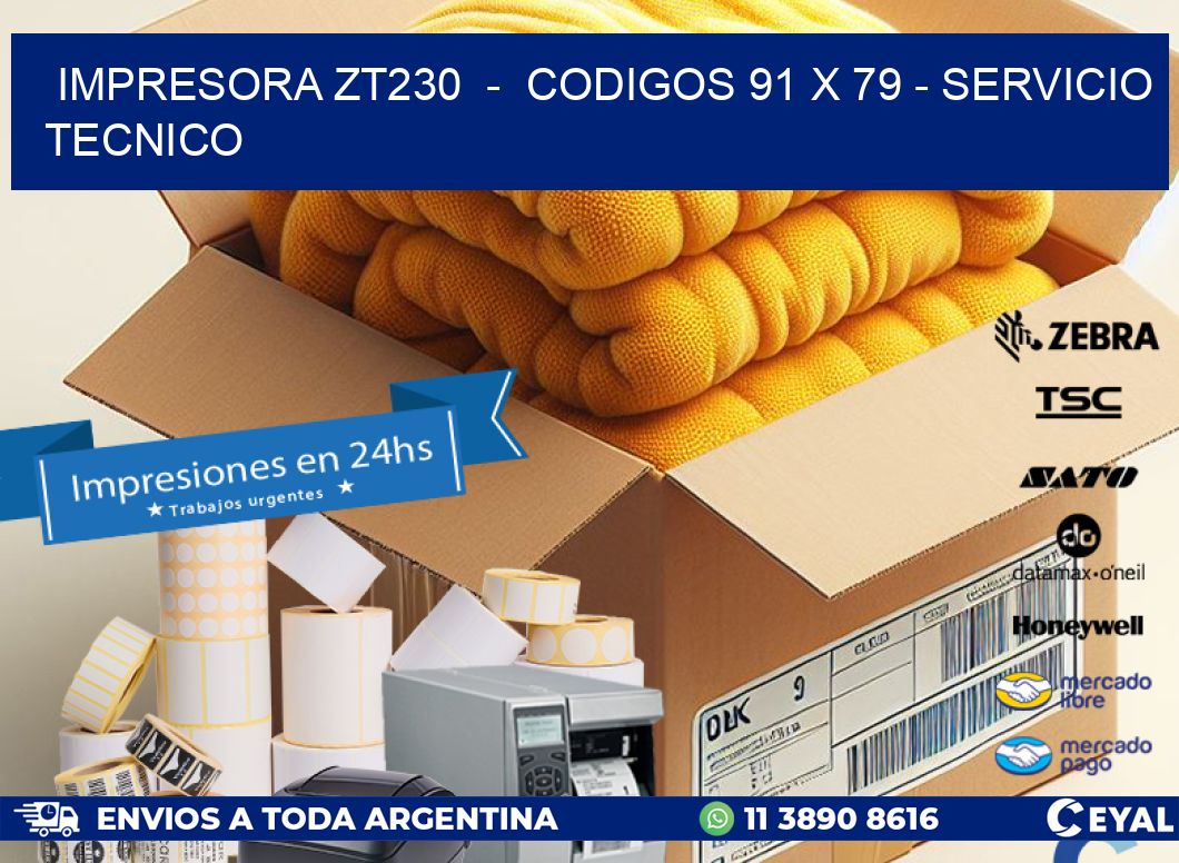 IMPRESORA ZT230  -  CODIGOS 91 x 79 - SERVICIO TECNICO