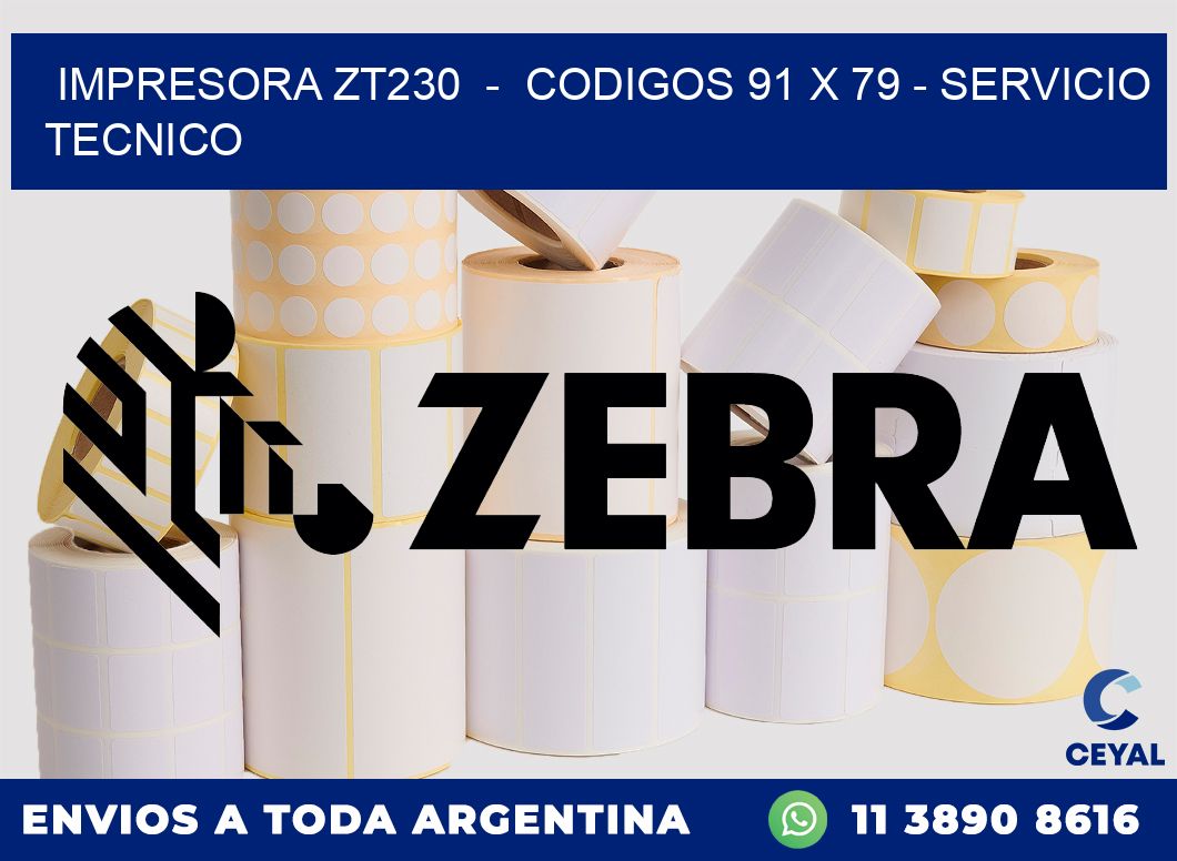 IMPRESORA ZT230  -  CODIGOS 91 x 79 - SERVICIO TECNICO