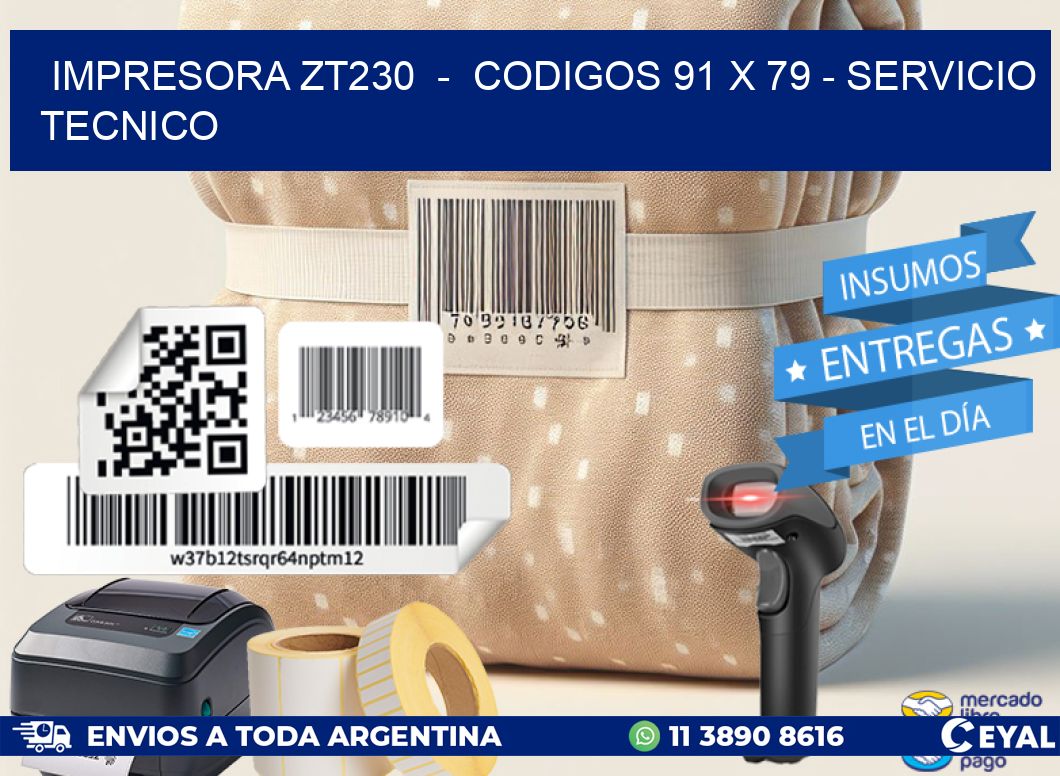 IMPRESORA ZT230  –  CODIGOS 91 x 79 – SERVICIO TECNICO