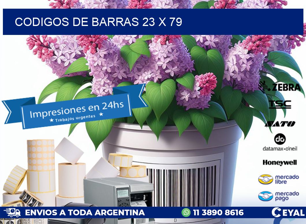 codigos de barras 23 x 79