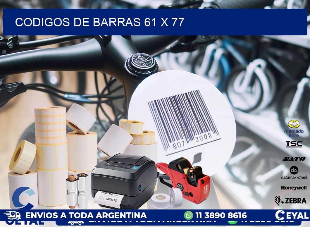 codigos de barras 61 x 77