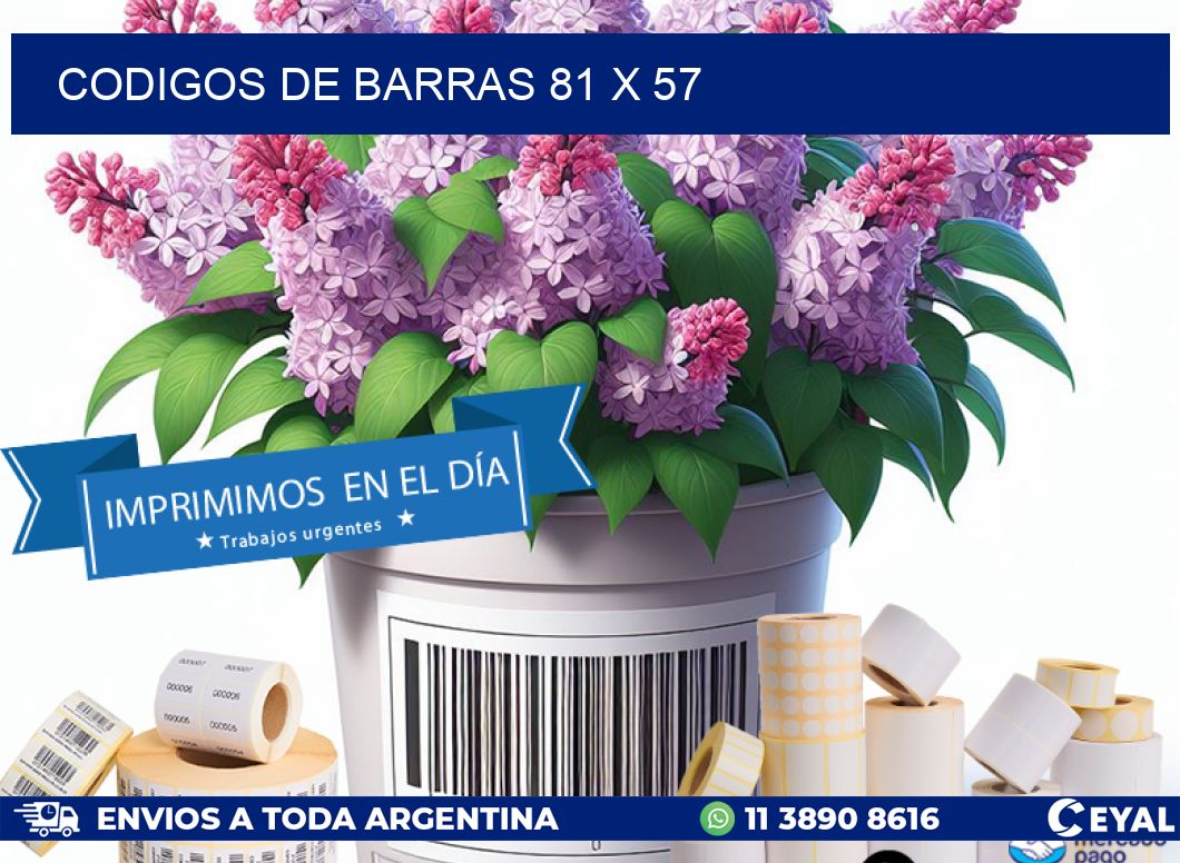 codigos de barras 81 x 57