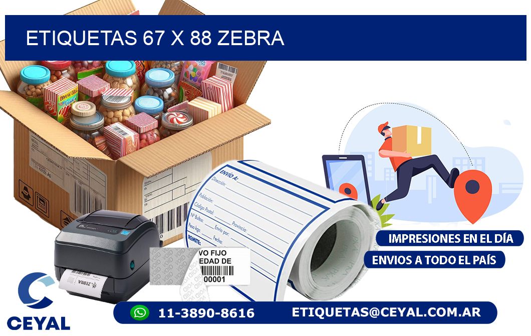 ETIQUETAS 67 x 88 ZEBRA