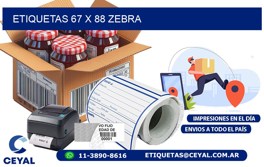 ETIQUETAS 67 x 88 ZEBRA