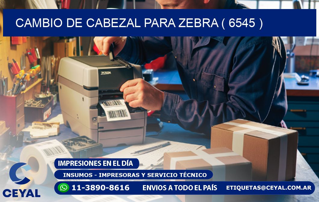 CAMBIO DE CABEZAL PARA ZEBRA ( 6545 )