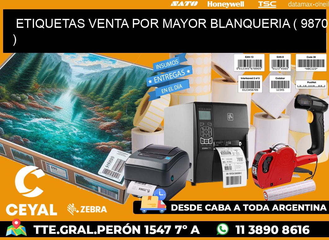 ETIQUETAS VENTA POR MAYOR BLANQUERIA ( 9870 )