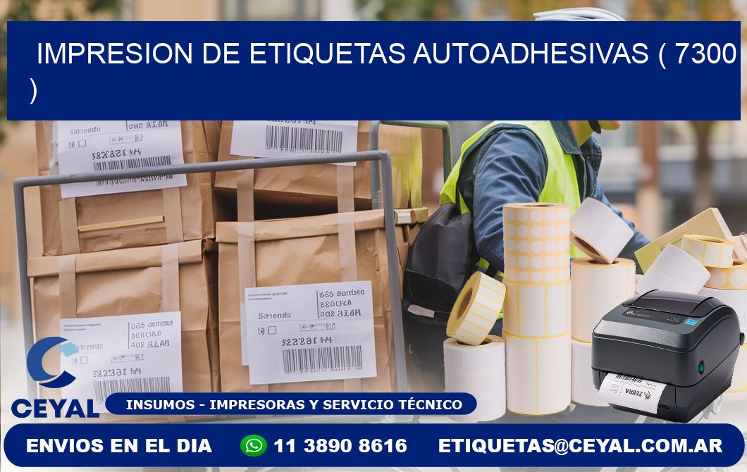 IMPRESION DE ETIQUETAS AUTOADHESIVAS ( 7300 )