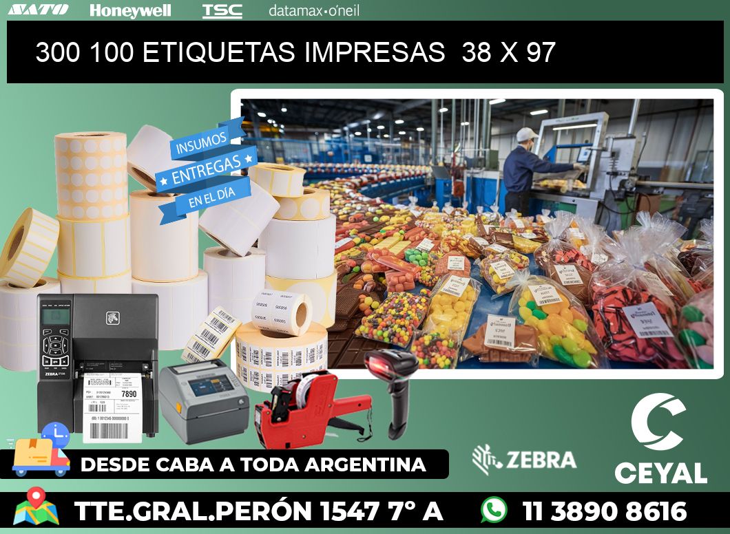 300 100 ETIQUETAS IMPRESAS  38 x 97