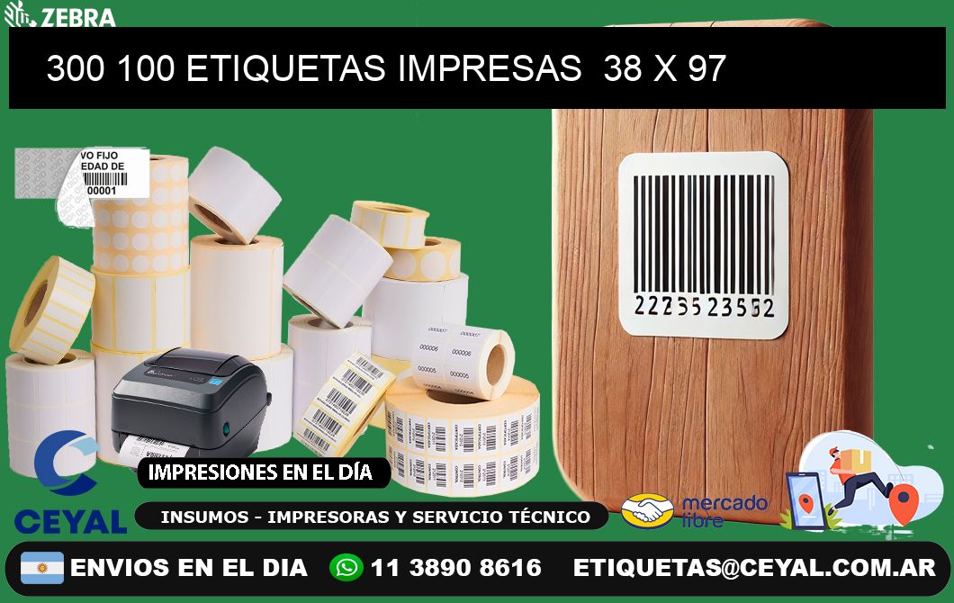 300 100 ETIQUETAS IMPRESAS  38 x 97