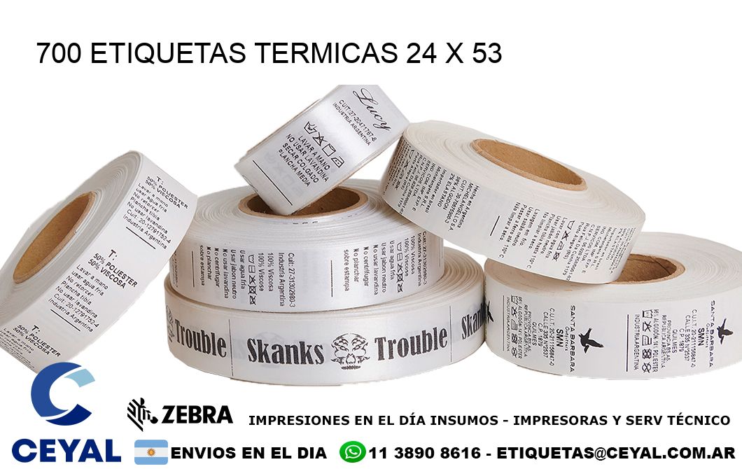 700 ETIQUETAS TERMICAS 24 x 53