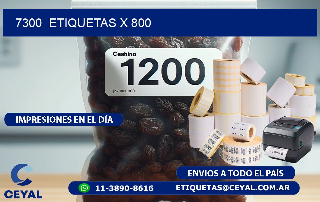 7300  ETIQUETAS X 800