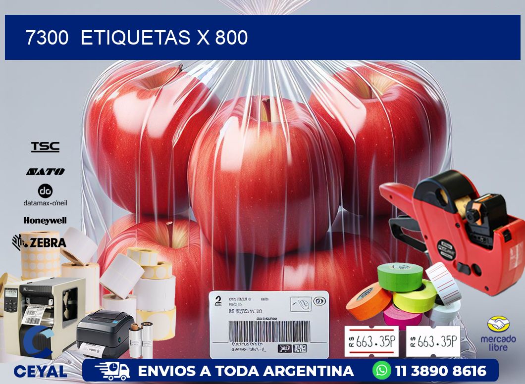 7300  ETIQUETAS X 800