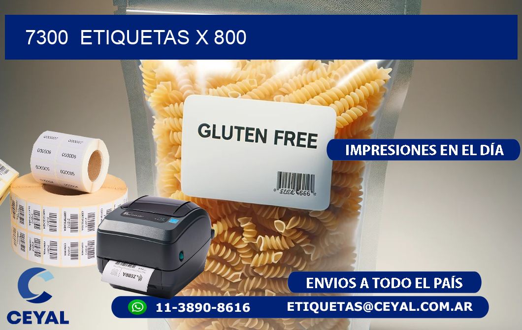 7300  ETIQUETAS X 800