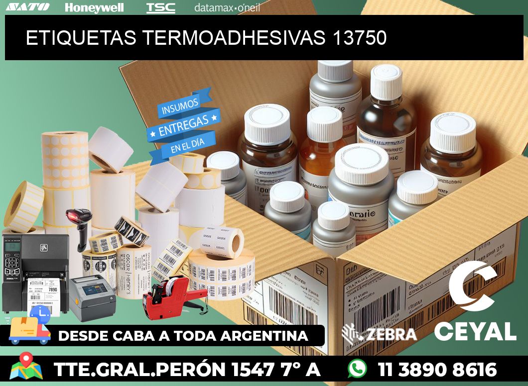 ETIQUETAS TERMOADHESIVAS 13750