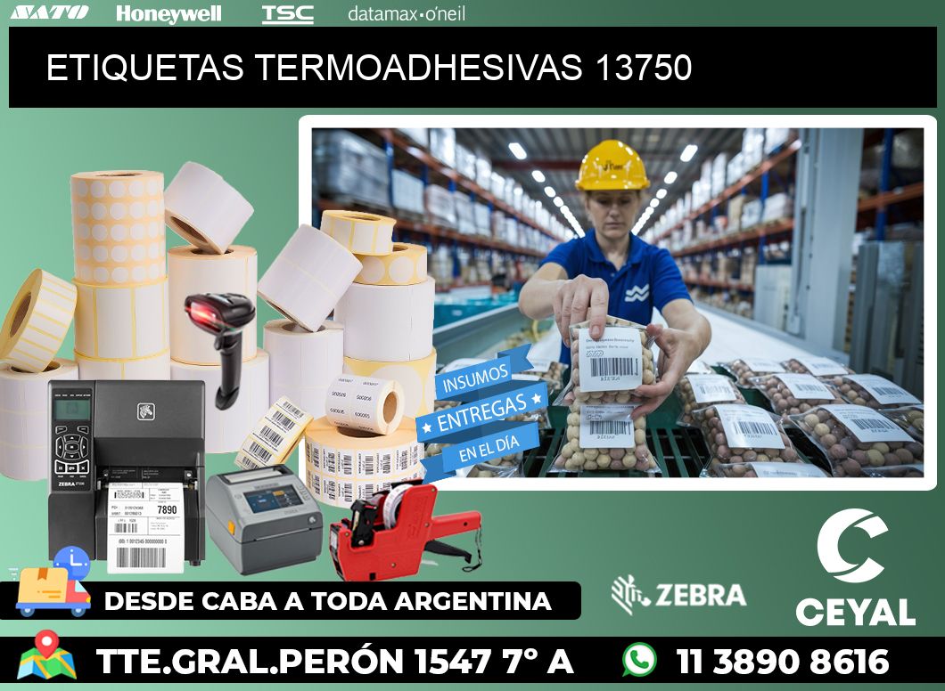 ETIQUETAS TERMOADHESIVAS 13750