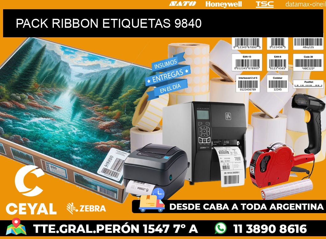 PACK RIBBON ETIQUETAS 9840