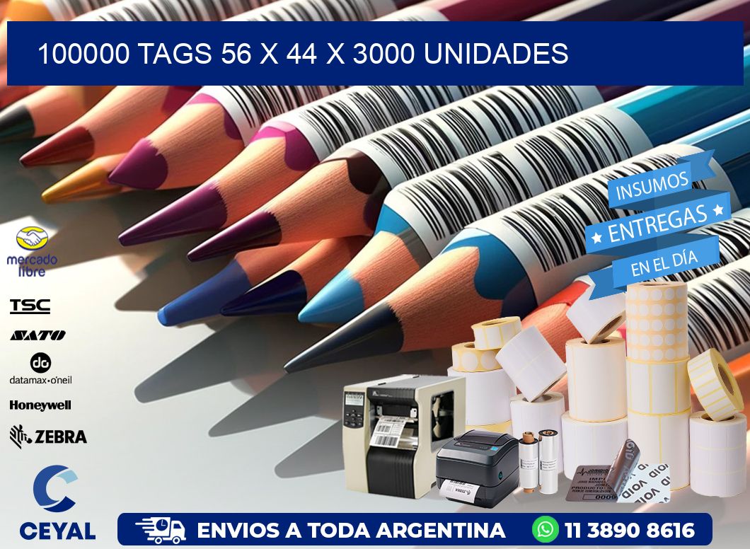 100000 TAGS 56 x 44 X 3000 UNIDADES