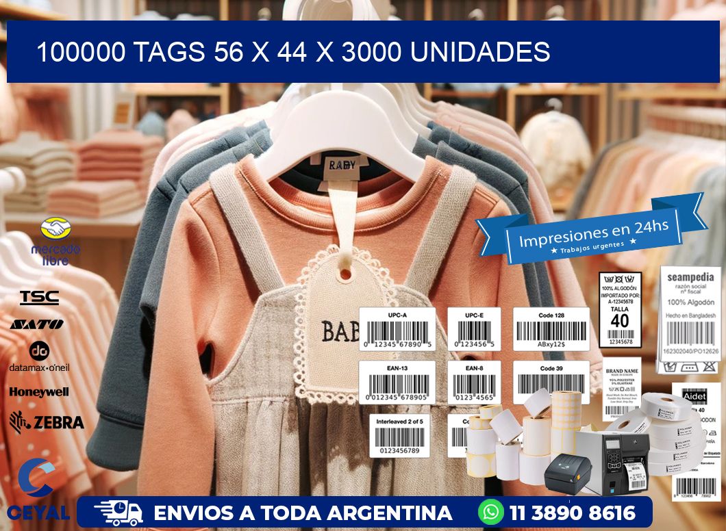 100000 TAGS 56 x 44 X 3000 UNIDADES